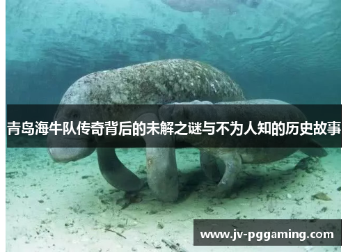 青岛海牛队传奇背后的未解之谜与不为人知的历史故事 青岛海牛队传奇背后的未解之谜与不为人知的历史故事